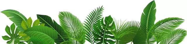 辰山植物园最近有什么活动,动植物园夏令营