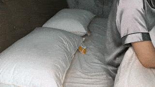 谢谢这个百元就能拿下的德国大牌,拯救了我的睡眠丨限时第二件半价