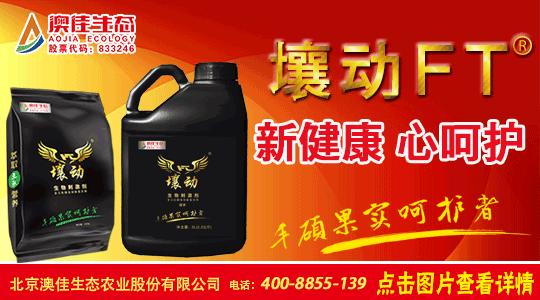 果蔬种植要革命！澳佳生态新科技引爆山东