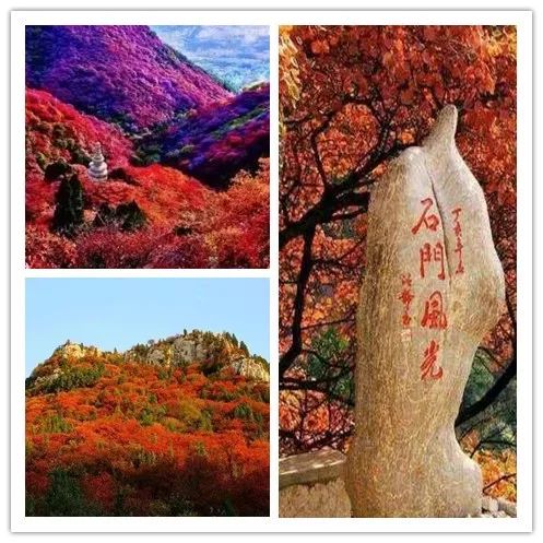 一泡红丨金秋时节，来临朐揽翠湖邂逅一场温泉+红叶的节后错峰游！