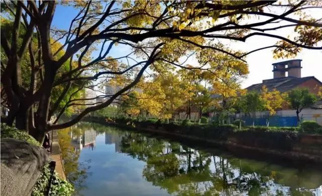 昆明中央公园未来规划,昆明将建100个中心公园名单