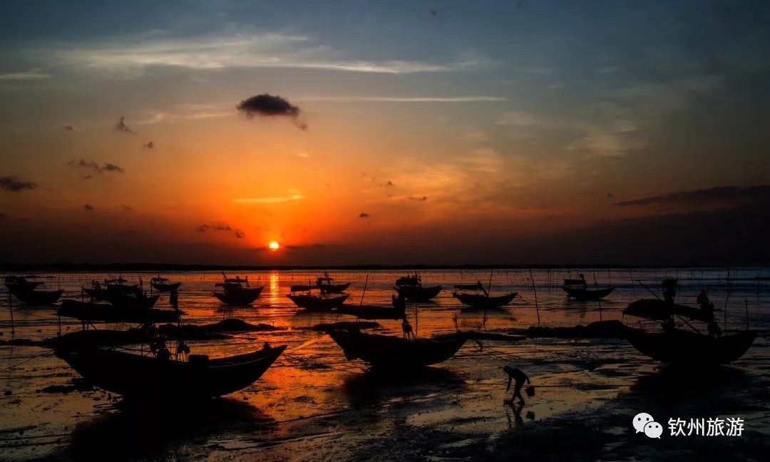 我们一起赶海,赶海攻略北戴河9月份赶海时间表