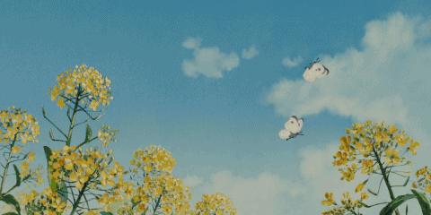 公园草坪怎么养护效果最好,公园草坪管理养护