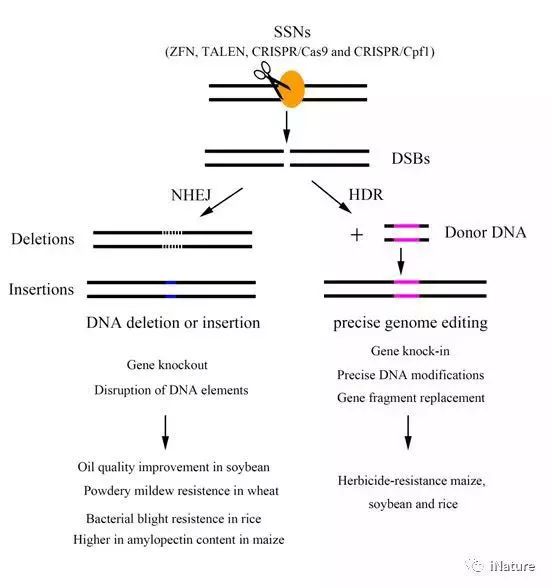 最先进的全套基因检测,最综合的基因数据库是哪个