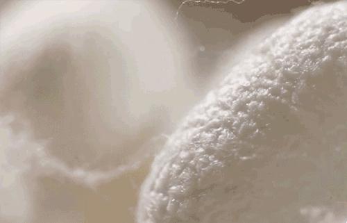 *裤内**没选对到底多可怕？95%的女生都不知道