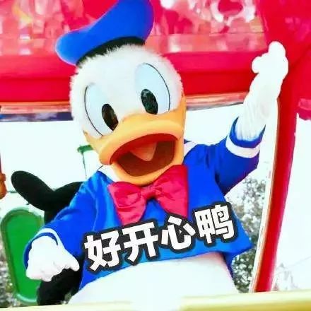 天府国际机场有几个设计方案,成都天府国际机场设计费用