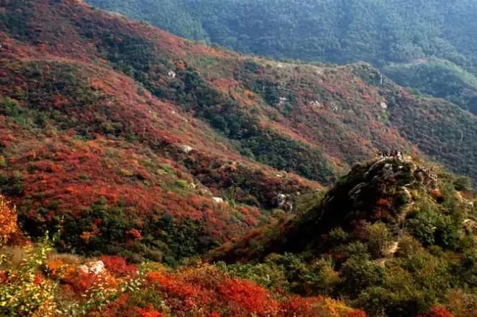 河南看红叶最好的地方,河南红叶最佳观赏时间表