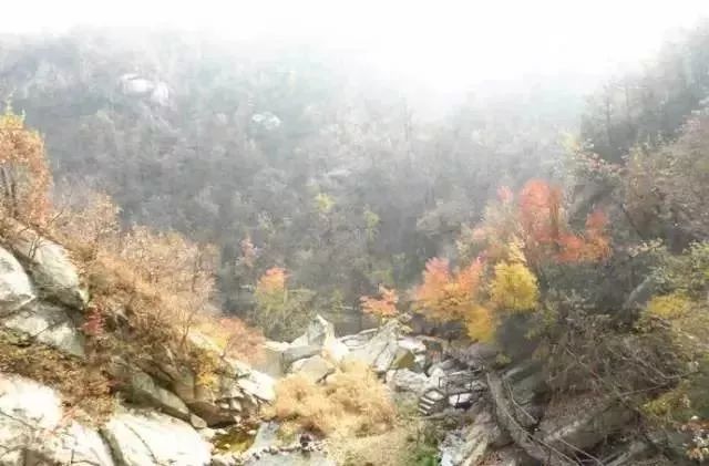 河南秋天最美红叶景区,太美了河南景观