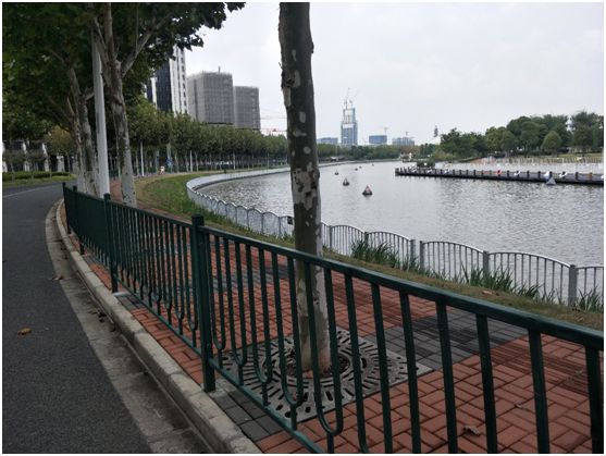 上海前滩尚峰名邸47平户型图,前滩尚峰名邸精装还是毛坯