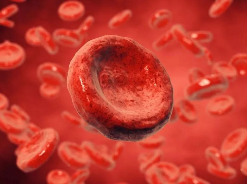 十年磨一剑免费阅读全文,十年磨一剑中医实例