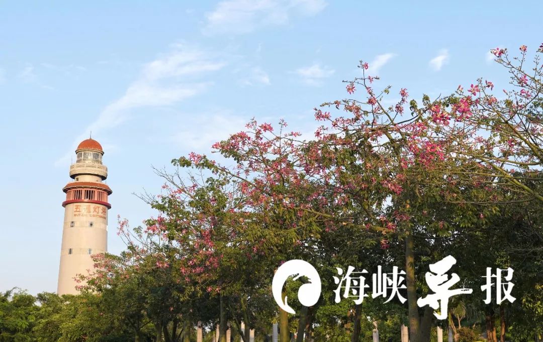 带你看美丽的厦门海边美景,厦门海洋最美丽的风景