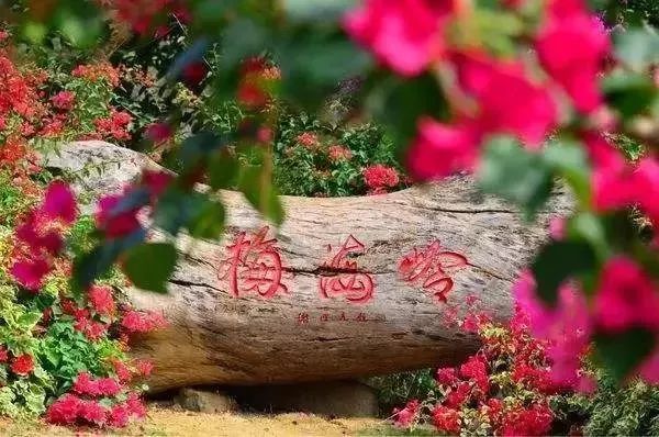 带你看美丽的厦门海边美景,厦门海洋最美丽的风景