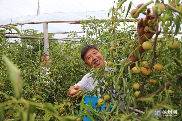 称赞滨州这座城市很美,中国最具幸福感城市2018