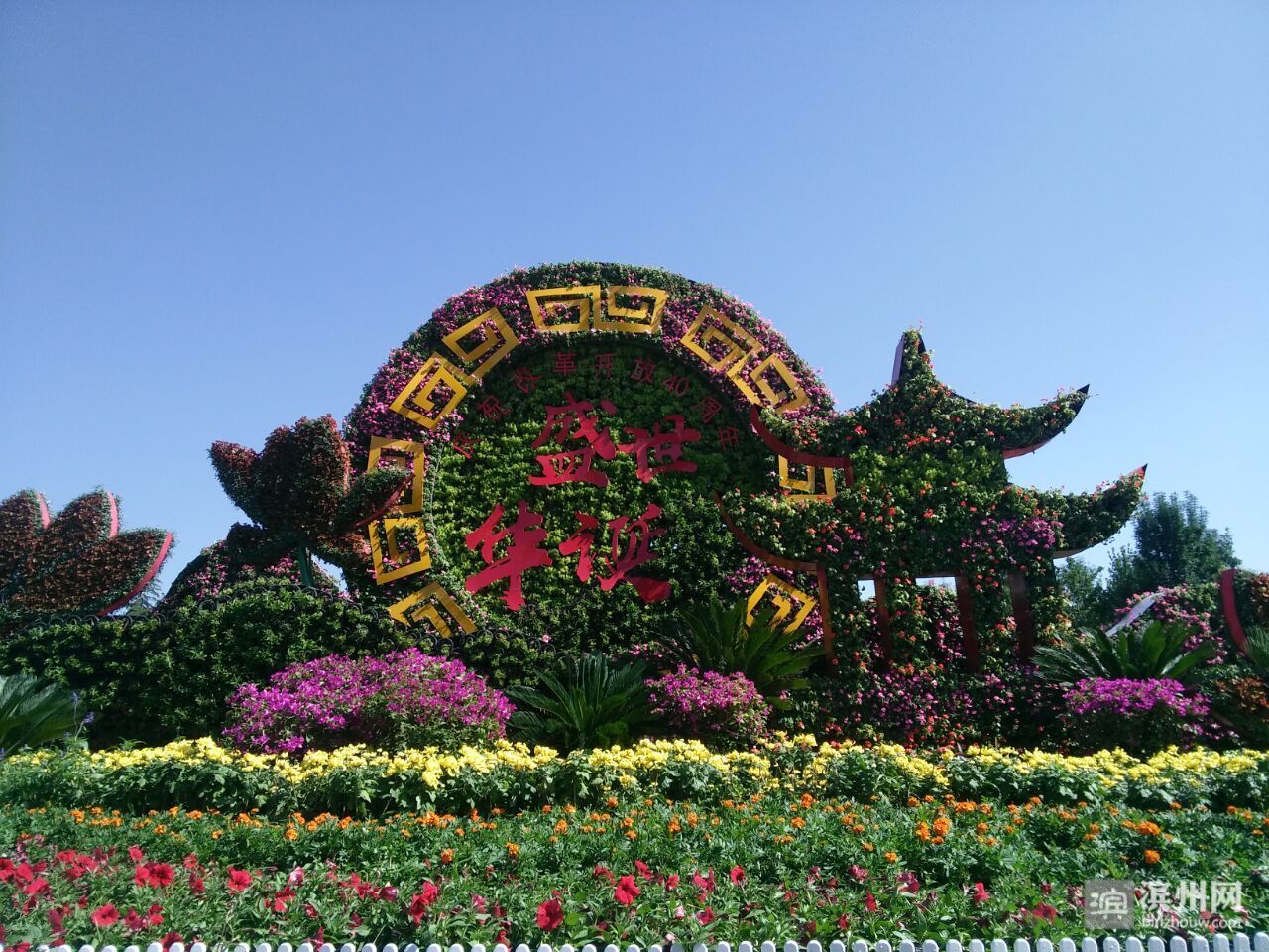 称赞滨州这座城市很美,中国最具幸福感城市2018