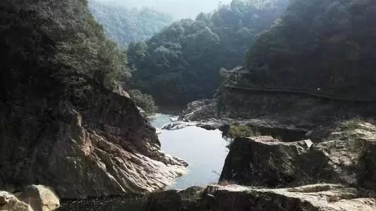 林语堂上海圣约翰大学,林语堂留美