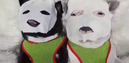 功效型面膜到底有用吗,各种功效的面膜到底有没有用