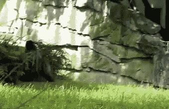 回顾2018,你的关键词是什么;开逛啦,济南新芙蓉街今起开门迎客;硬核!自行车与轿车相撞,竟把轿车车头撞扁了