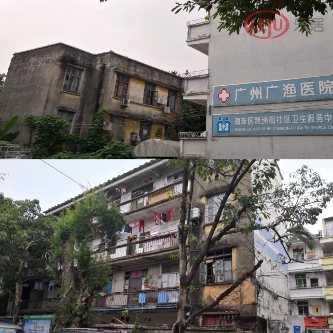 琶洲新洲旧改,新洲村旧村改造规划