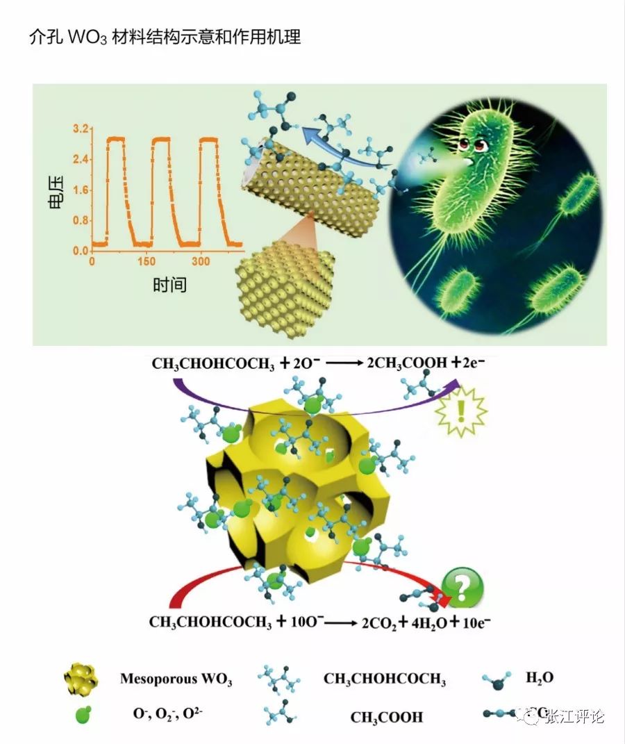 气体传感器技术支持,无线气体传感器解决方案