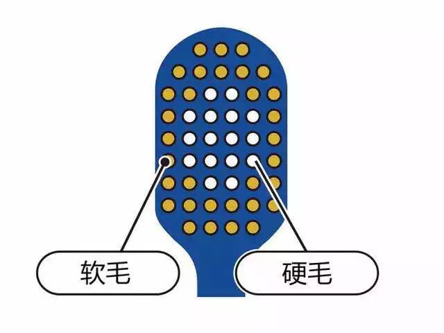 日本必买的牙刷 (双十一必买的牙刷)