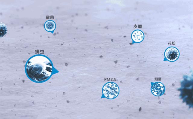 季节性鼻炎怎么按摩能缓解,治鼻炎姿势