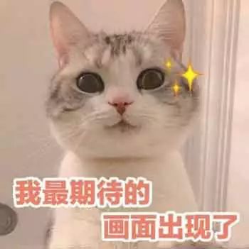 测评菲洛嘉十全大补,十全大补面膜菲洛嘉正确用法测评