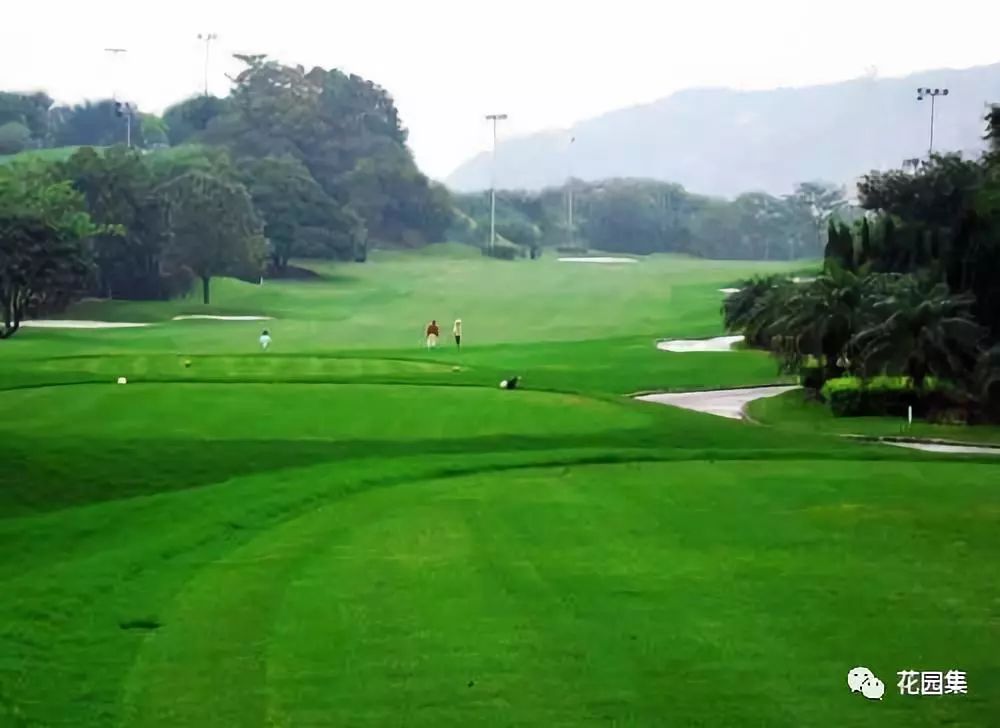 公园草坪怎么养护效果最好,公园草坪管理养护