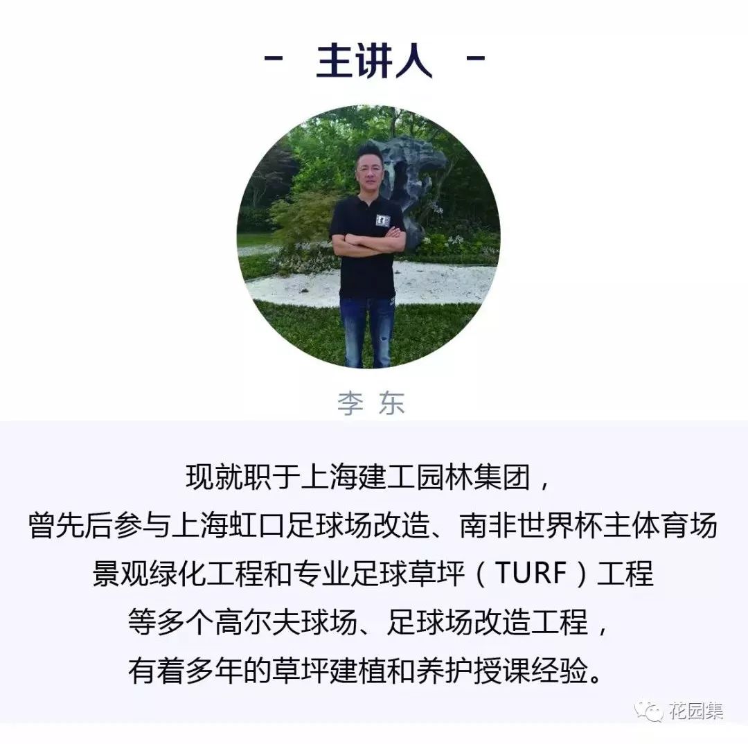 公园草坪怎么养护效果最好,公园草坪管理养护