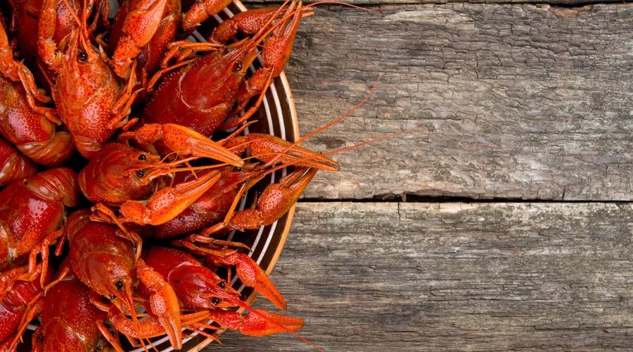 人体缺乏酵素谣言,酵素能防癌症吗