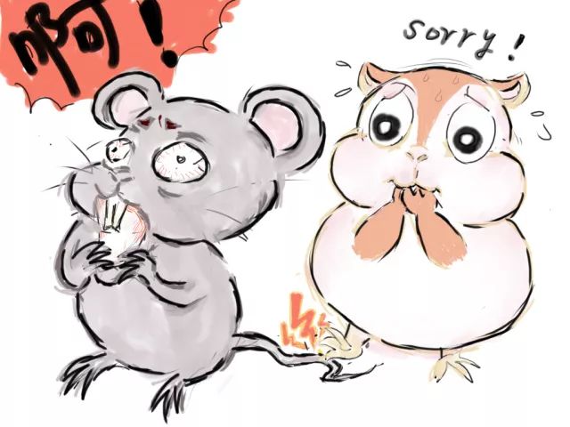 妇科疾病治疗骗局大揭秘,妇科疾病治疗骗局揭秘