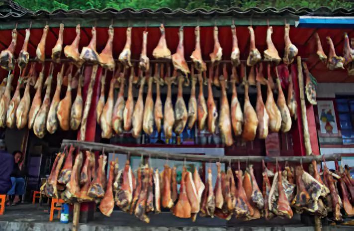 猪猪日常是怎样的,猪猪是怎么制定学习计划