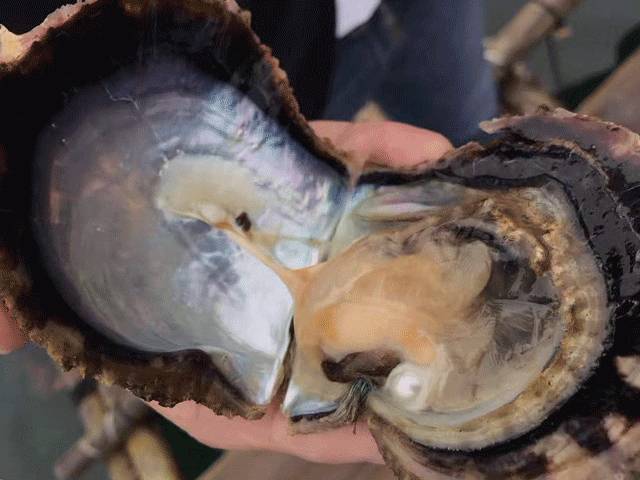 什么素颜霜使皮肤又白又嫩,既护肤又提亮肤色的素颜霜