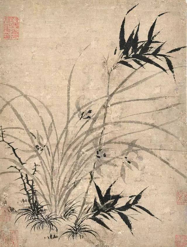 兰花之美朗诵,兰花之美诗句