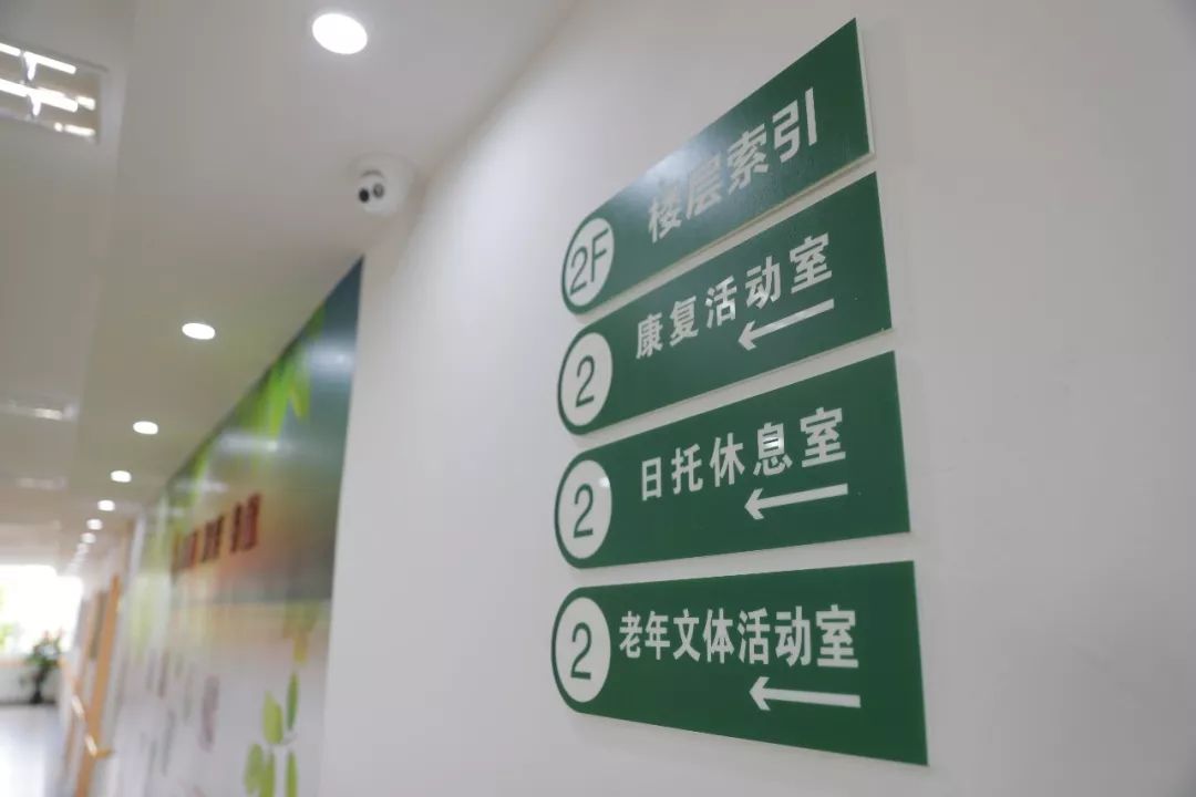 所有人奔向城市,她选择回到浦南