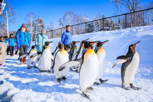 日本成为真正的购物天堂,日本购物或成购物天堂
