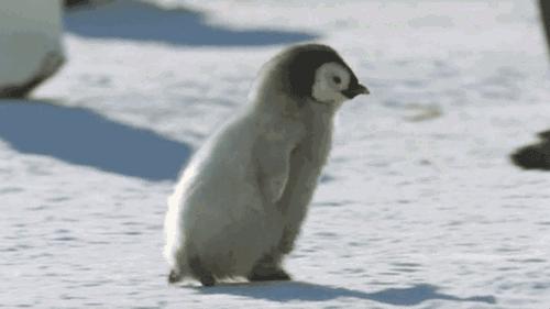 暖气放气放到什么程度是没有气了,暖气里全是气没有水