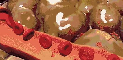 10倍燃烧卡路里！意大利夜光魔力裤，看得见的燃脂，30天还你超模腿！