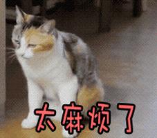 手机号码用了5年以上的江西人快看！现在知道还不晚！