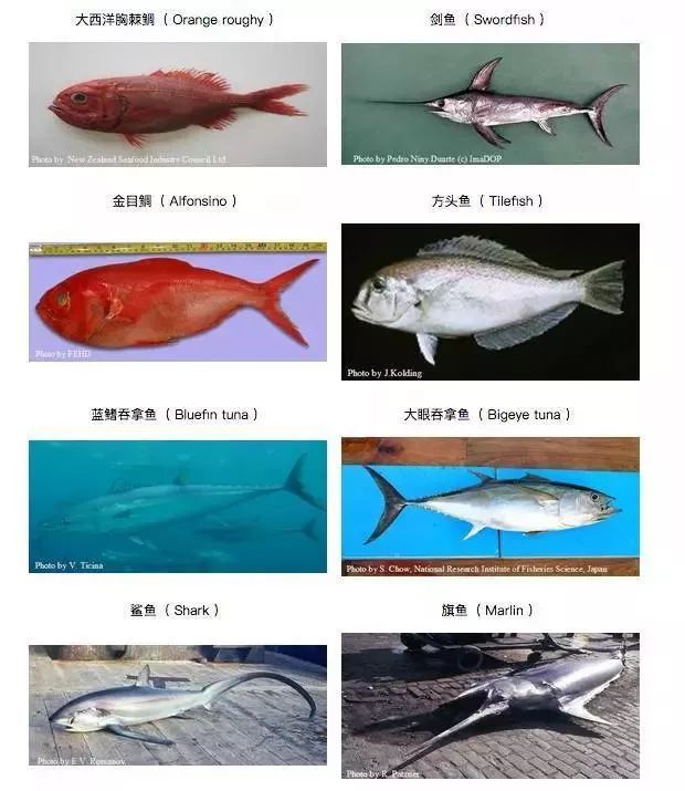 婴幼儿dha怎么补要补多长时间,补钙补铁补维生素还要补dha吗