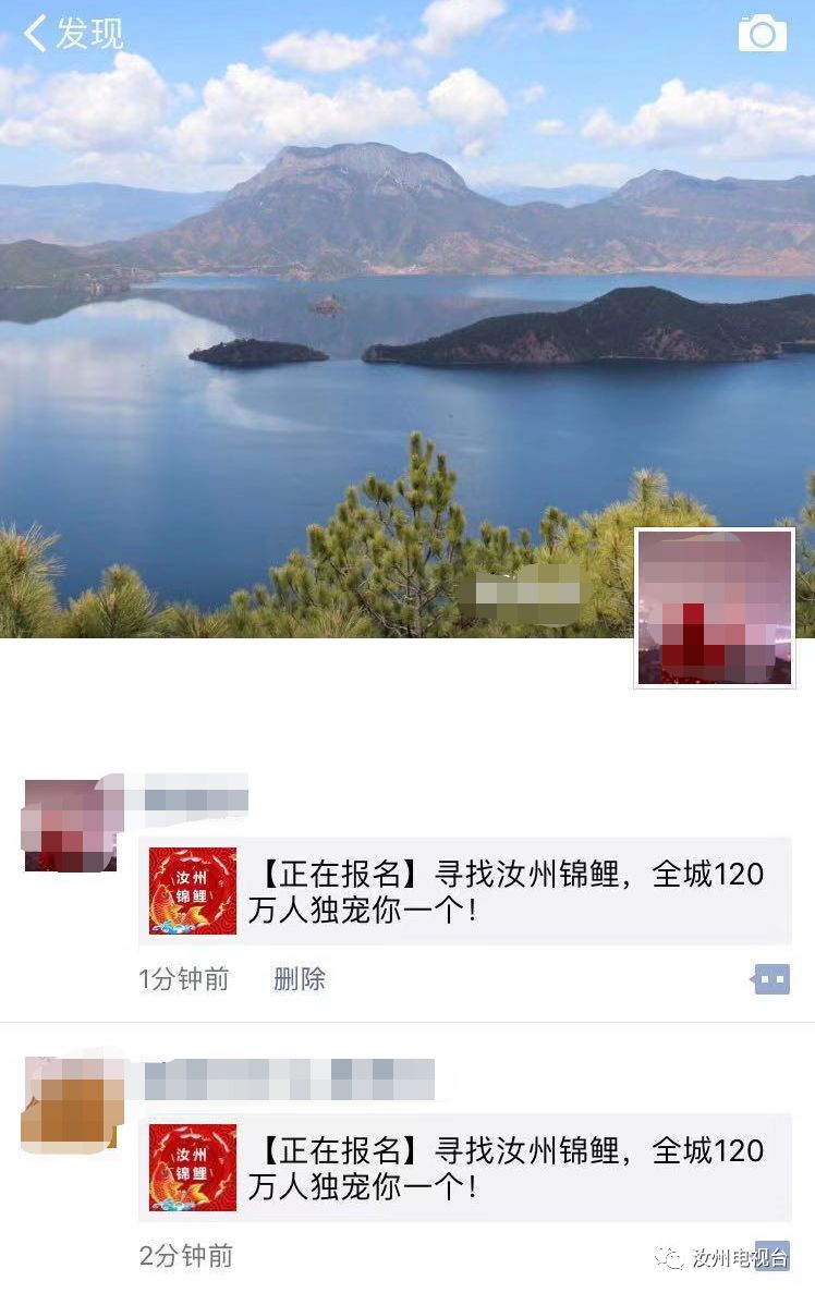 寻找锦鲤活动,寻找汝州锦鲤