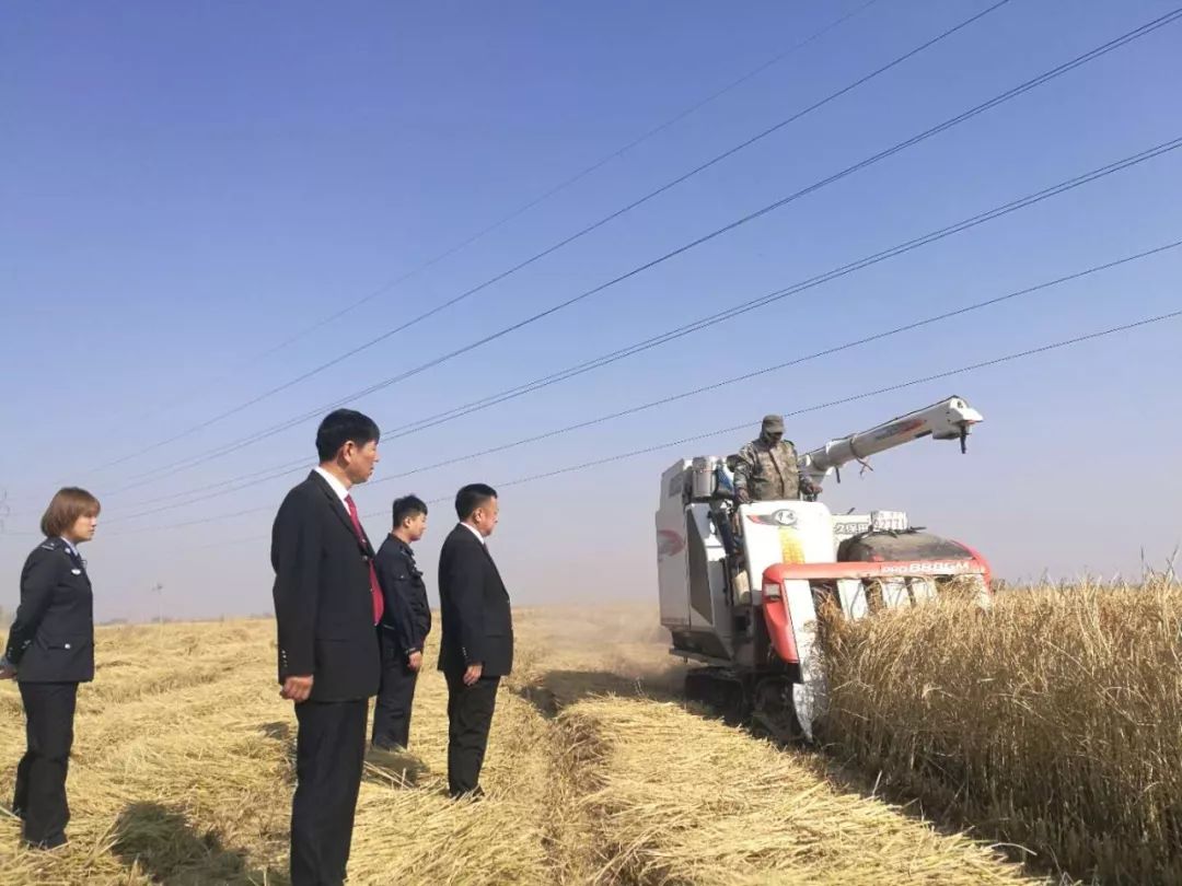 媒体见证执行第13期丨辽阳县法院:制订详细方案保证300亩水稻顺利执行