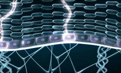 疤痕彻底消失新技术,疤痕淡化修复新技术