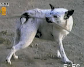 「节目预告」皮肤痒真的只是干燥？中山七院皮肤性病科专家来答疑啦！11月1日晚8点，先锋898