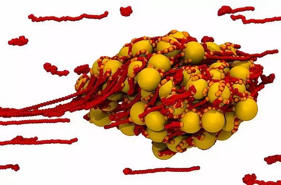 氨甲环酸牙膏可以止血吗,止血敏和氨甲环酸能一块用吗