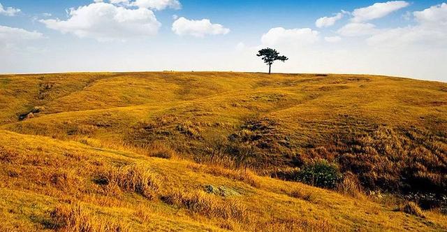 南京最美赏秋地点,南京赏秋之旅