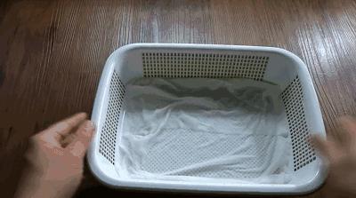 在家种菜,不用土不用肥,“一张纸”就搞定