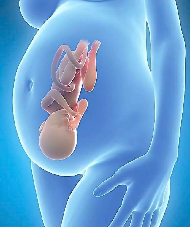 剖腹产容易胖还是顺产容易胖,剖腹产生出的小孩是不是漂亮一点