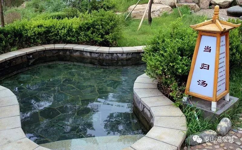 泰山温泉城有什么,泰山温泉城真实事件