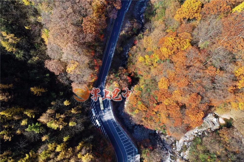 错过了红叶最佳观赏时间,光雾山红叶最佳观赏地方是哪里