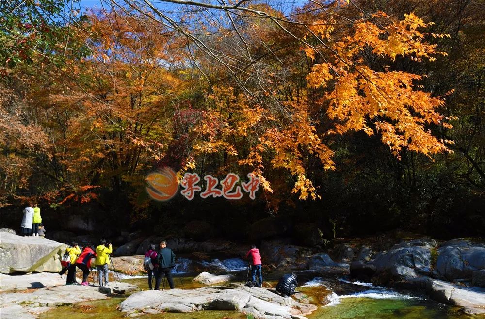 错过了红叶最佳观赏时间,光雾山红叶最佳观赏地方是哪里